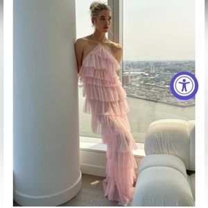 NWT The Bar Henri Gown in Rose